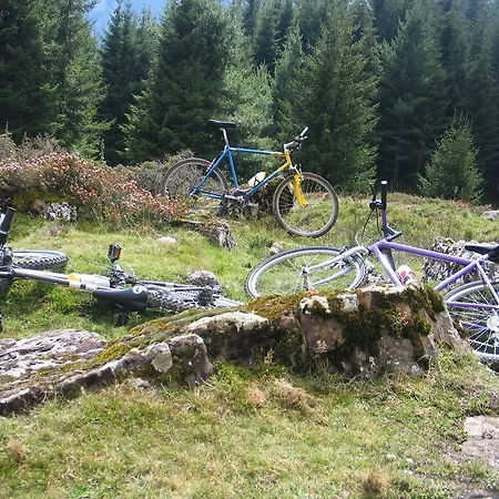 Le Glacier غوريت