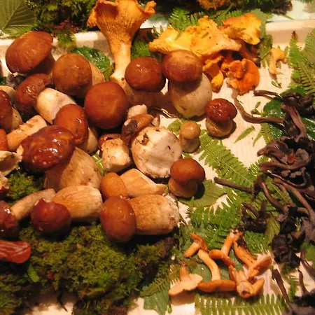 Le Glacier غوريت