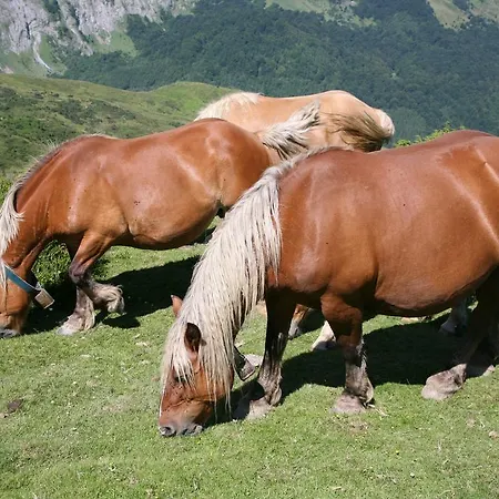 فندق Le Glacier غوريت