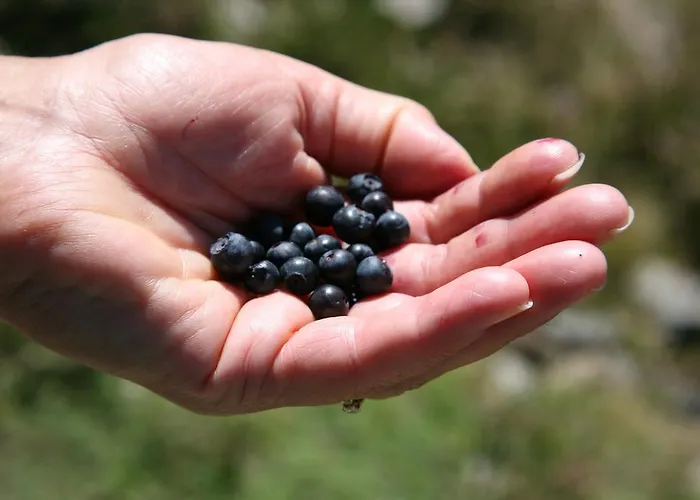 Hotel Le Glacier Gourette