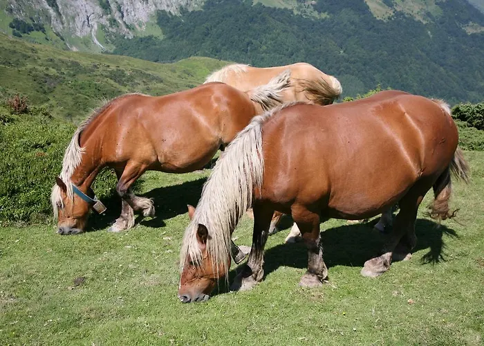 Hotel Le Glacier Gourette